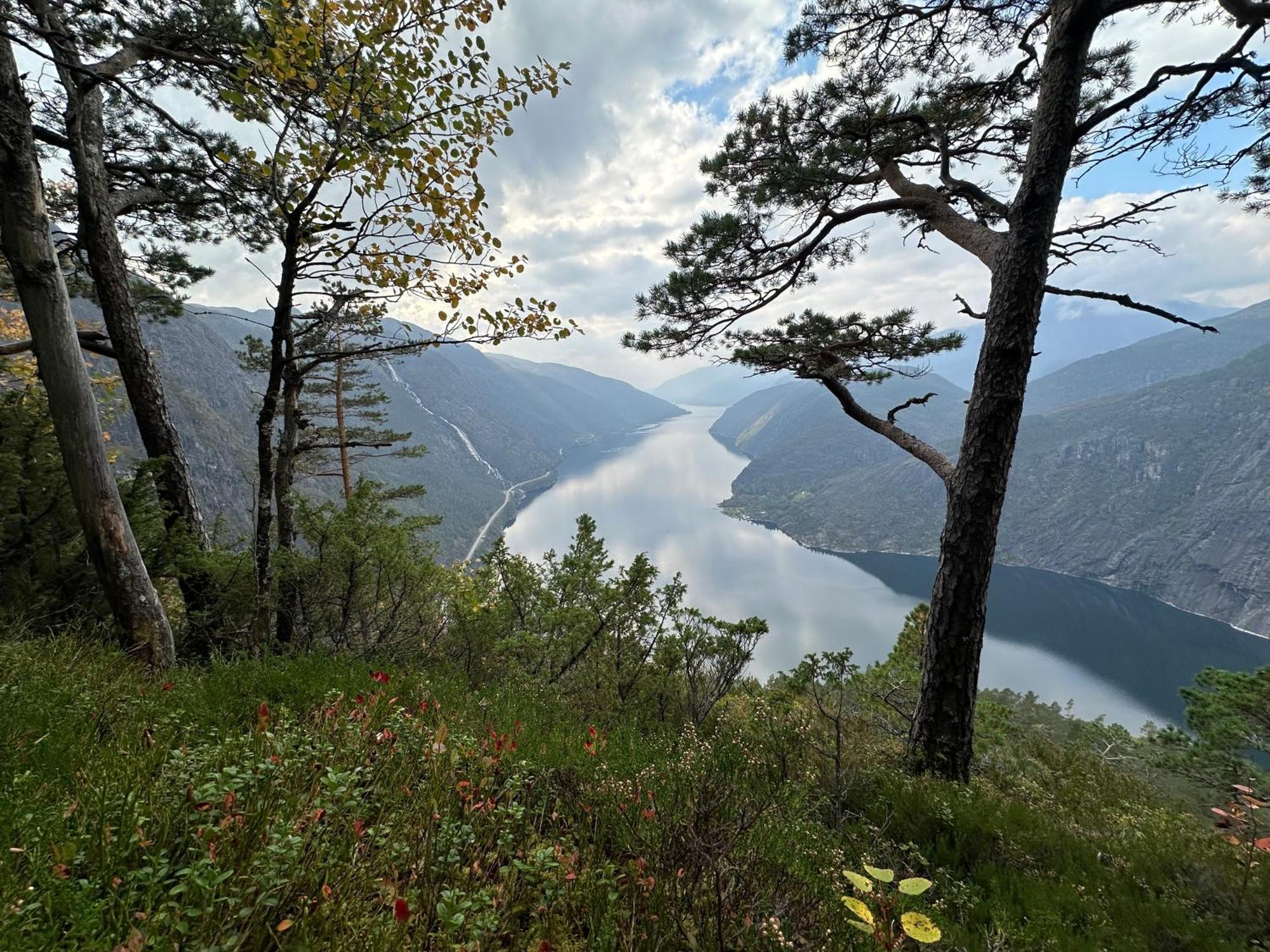 Akrafjorden Nature B&B As Fjæra Kültér fotó
