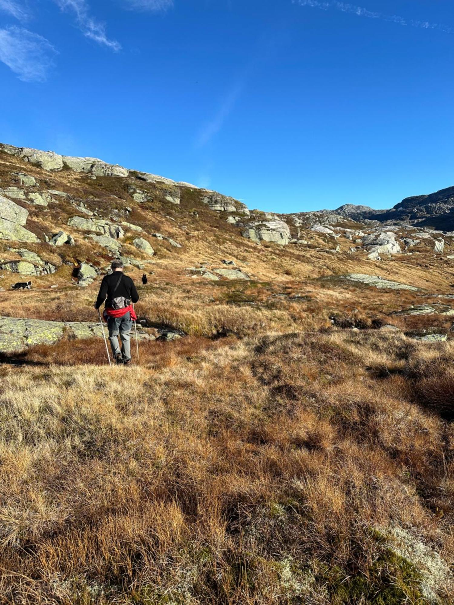Akrafjorden Nature B&B As Fjæra Kültér fotó