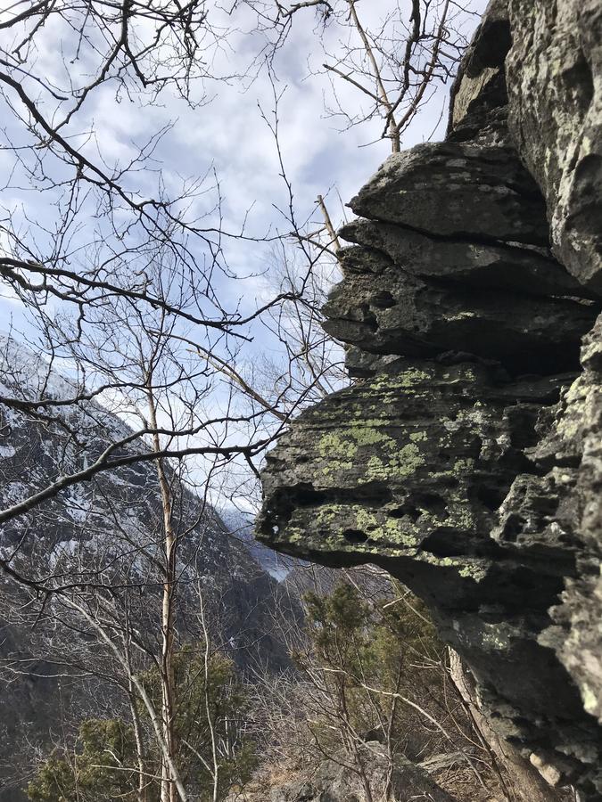 Akrafjorden Nature B&B As Fjæra Kültér fotó