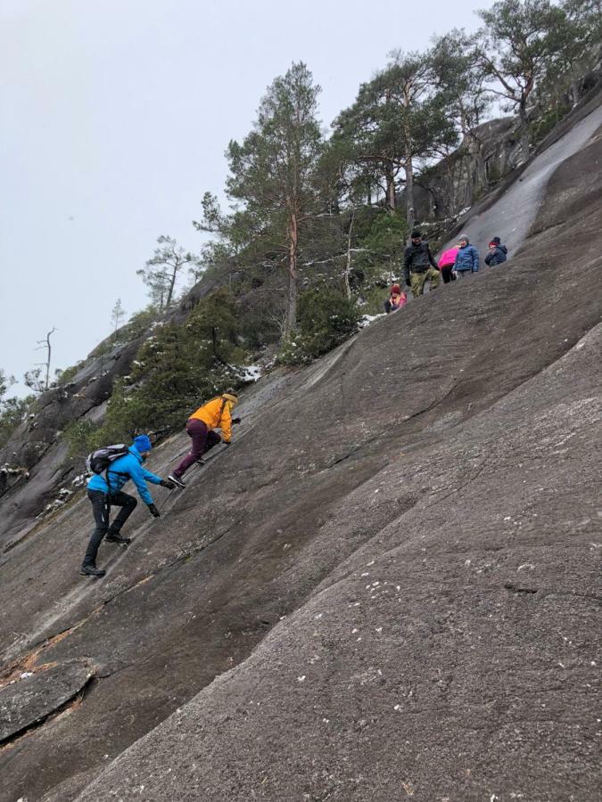Akrafjorden Nature B&B As Fjæra Kültér fotó